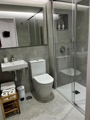 a bathroom with a toilet and a shower and a sink at Hostal Charo II in Santiago de Compostela