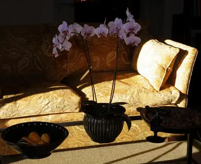a vase with a plant in it next to a couch at Hotel Rural Palacio de Prelo in Boal