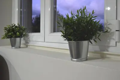 two potted plants sitting on a window sill at O Prado do Forno in O Barco de Valdeorras