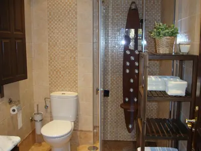 a bathroom with a toilet and a shower at Apartamentos Rurales Posada de las Hoces in Bustiello de Paredes