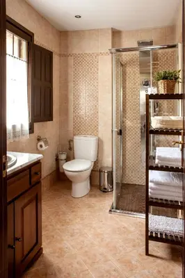 a bathroom with a toilet and a shower and a sink at Apartamentos Rurales Posada de las Hoces in Bustiello de Paredes