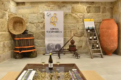a display of wine bottles and wine glasses on a table at Gandarela Turismo Rural in Ourense
