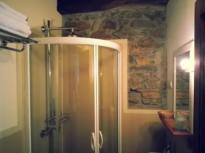 a shower in a bathroom with a stone wall at Hostal De Montaña La Aldeya in Villablino