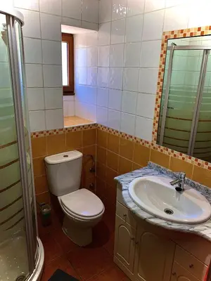 a bathroom with a toilet and a sink and a shower at La casa de la valla azul (San Miguel de Langre) in San Miguel de Langre