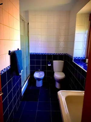 a blue tiled bathroom with a toilet and a sink at La casa de la valla azul (San Miguel de Langre) in San Miguel de Langre