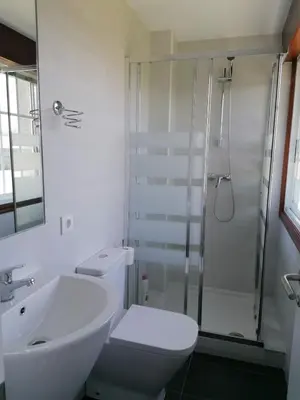 a bathroom with a sink and a toilet and a shower at PR Una Estrella Dorada in O Pedrouzo