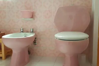 a pink toilet and a sink in a bathroom at Amplio y luminoso piso en el centro de Ourense in Ourense