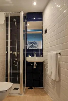 a bathroom with a shower and a sink and a toilet at Alameda Rooms Santiago in Santiago de Compostela
