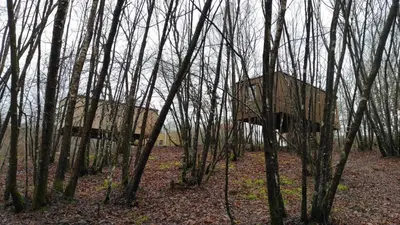 two nesting boxes in a forest of trees at Cabanas das Chousas in Lugo