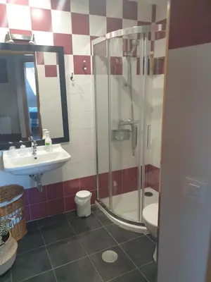 a bathroom with a shower and a sink and a toilet at Apartamento Ático Cine Colón in Ribadeo