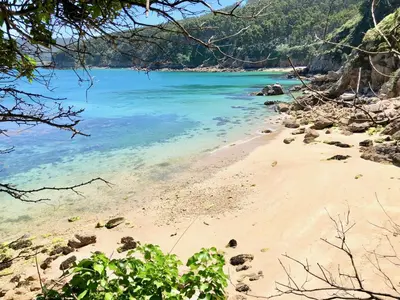 a sandy beach with blue water and trees at Marina Sol te hará soñar in Vivero