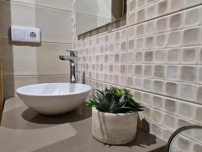 a bathroom with a sink and a plant on a counter at Casa da Marquesa Sarria in Sarria