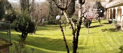 a view of a yard with trees and grass at Piso completo en Camiño Inglés - Sigüeiro, in Sigüeiro