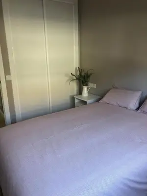 a bedroom with a large bed with a plant on it at ESTUDIO Zona Norte Santiago de Compostela VUTCO-04046 in Santiago de Compostela