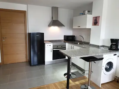 a kitchen with a black refrigerator and a dishwasher at Viveiro Centro in Viveiro