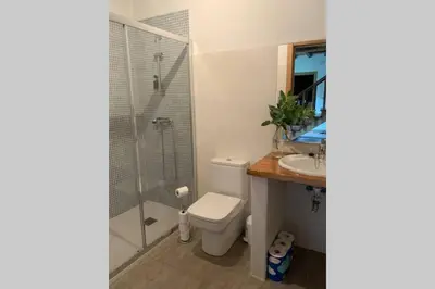 a bathroom with a toilet and a shower and a sink at Casa Rural en Valadouro Serra do Xistral Lugo En medio de la Naturaleza in Lagoa