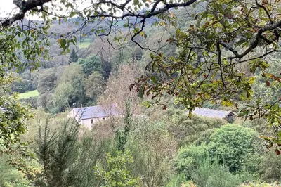 a house in the middle of a hill with trees at Casa Rural en Valadouro Serra do Xistral Lugo En medio de la Naturaleza in Lagoa