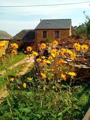 a garden with yellow flowers in front of a house at Casa o Furco in Foz