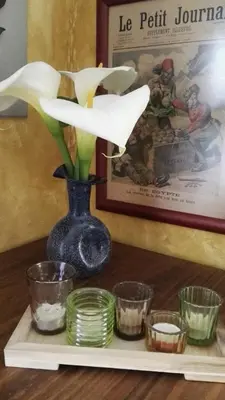 a vase with a white flower on a shelf at Casa o Furco in Foz