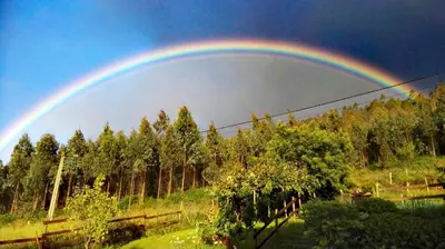 a rainbow in the sky over a field with trees at Casa o Furco in Foz