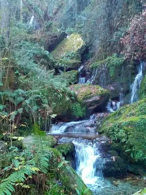 a waterfall in the middle of a forest at Casa o Furco in Foz
