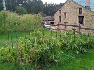 a garden in front of a stone house at Casa o Furco in Foz