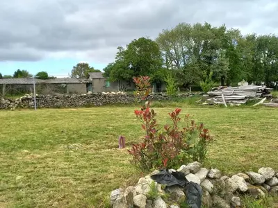 a pile of rocks in a field with a plant at Pensión O Corazón da Ribeira Sacra in La Teijeira