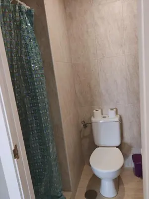 a bathroom with a toilet and a green shower curtain at Ecorooms SCQ estación in Santiago de Compostela