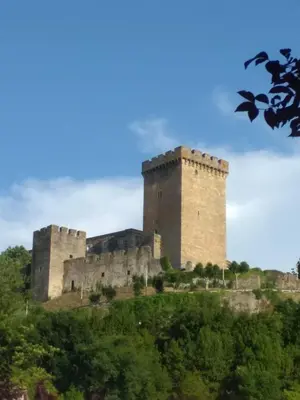 a castle on top of a hill with trees at CASA DIEGO in Monforte de Lemos