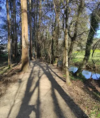 a path through a forest with trees and a river at Atico Cuntis Thermae in Cuntis