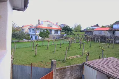 a field with a bunch of trees in the grass at Apartamento CATA Santiago de Compostela in Santiago de Compostela