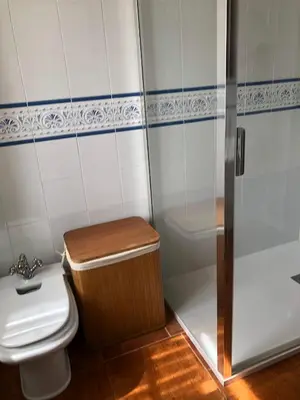 a bathroom with a toilet and a shower at Casa De Cacheiro in Silleda