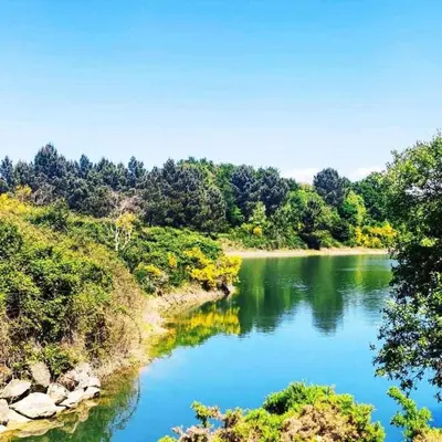 a view of a river with trees in the background at Alojamiento Pena da Osa in Sober
