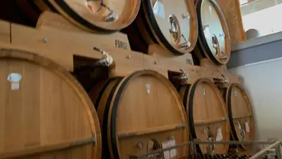 a bunch of wooden wine barrels in a room at The Way Hotel Molinaseca in Molinaseca