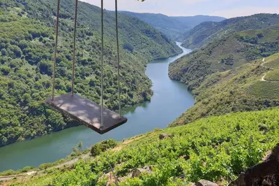 a swing hanging over a river in a valley at CONTRASTES RIBEIRA SACRA in Monforte de Lemos