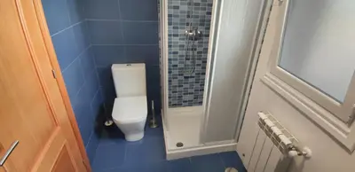 a small bathroom with a toilet and a shower at HOLIDAY HOMES by del abuelo VEGADEO in Vegadeo