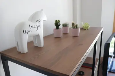 a wooden table with cactuses and plants on it at Luky Miño in Miño