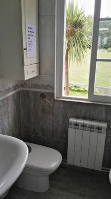 a bathroom with a toilet and a sink and a palm tree at CAMBOTE Vivienda turìstica in Lugo