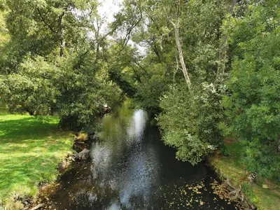 a stream of water with trees on the side of it at Hotel Casa da Galbana in Friol