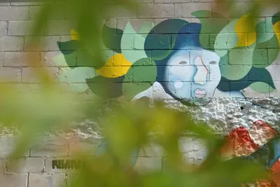 a wall with a mural of a face on it at Hotel Casa da Galbana in Friol