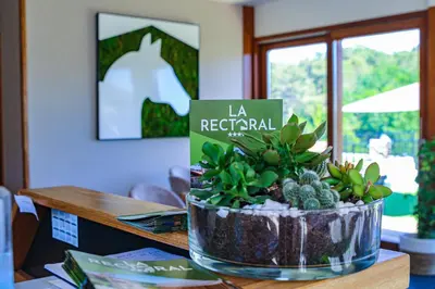 a succulent plant in a pot on a table at Hotel La Rectoral in Covelo