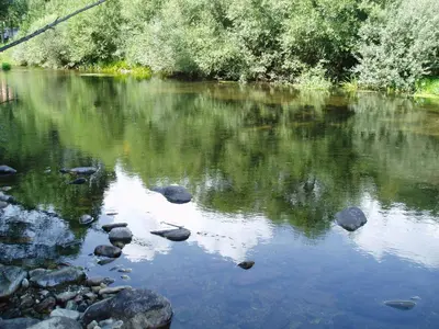 a river with rocks and trees on the side at Casa Rural El Llao Y Los Fresnos in Murias de Paredes