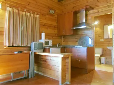 a kitchen with wooden walls and a counter with a microwave at Cabañas Maleixas in El Puente