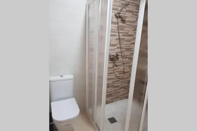 a bathroom with a shower and a toilet at Apartamento con vistas al río A Solaina in Samos