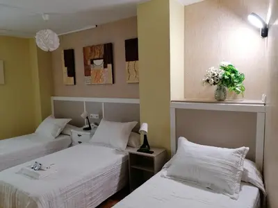 two beds in a room with flowers on the wall at Cuatro Caminos in Sarria