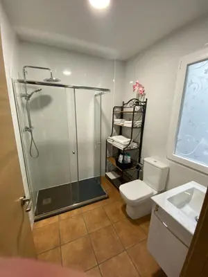 a bathroom with a shower and a toilet and a sink at Precioso piso en el centro de Galicia. in Silleda