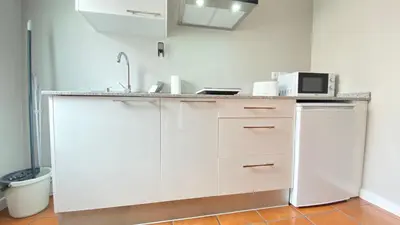 a white kitchen with a sink and a microwave at Apartamentos Pantón Ribeira Sacra in Ferreira de Panton