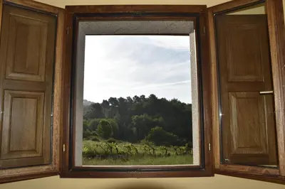 a window with a view of a field and trees at Ribeira Sacra II - Ourense in Nogueira de Ramuin