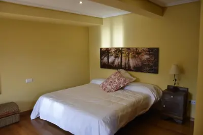 a bedroom with a bed with a pillow on it at Ribeira Sacra II - Ourense in Nogueira de Ramuin