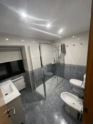 a bathroom with a shower and a toilet and a sink at Villa Adilia in Padornelo
